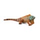 14854 [Wild Life イグアナ]