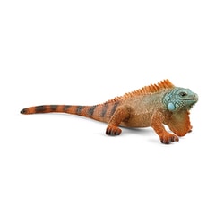 14854 [Wild Life イグアナ]