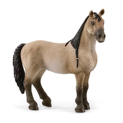 13948 [HORSE CLUB クリオージョ・デフィニテイヴォ（メス）]