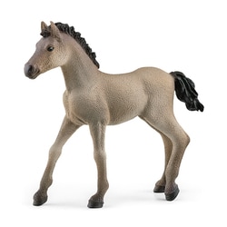 13949 [HORSE CLUB クリオージョ・デフィニテイヴォ（仔）]