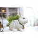 KH-60971 [RABBIT’S FARM ラビッツファーム プランター （S）]
