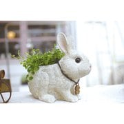 KH-60971 [RABBIT’S FARM ラビッツファーム プランター （S）]