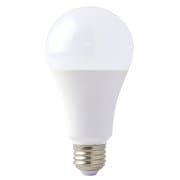 TRAD LED交換球 100形 #316368 CLT-14W