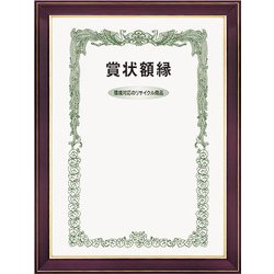 賞状額 ネオ光輝 褒章 0142-ネオ光輝 褒章