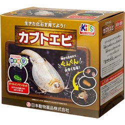 ヨドバシ Com ニチドウ 日本動物薬品 飼育観察セット カブトエビ 通販 全品無料配達