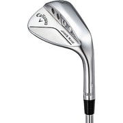 JAWS（ジョーズ） RAW Dynamic Gold S200（スチール）（S） ロフト角58° バウンス角8° クロムメッキ 2022年モデル [ゴルフ ウェッジ]