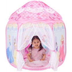 ディズニー プリンセス まとめ売り ※バラでも ディズニープリンセスらぶ＆きゅーと 6月号 (発売日2013年05月15