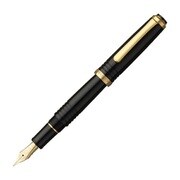 万年筆 特別限定モデル DECADE 細字 ブラックインブラック PNB-40000 #1-2 1193012