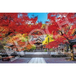 ジグソー 09-024s 修禅寺の美しい秋 - 静岡 [ジグソーパズル 1000ピース]