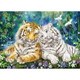 ジグソー 06-127s 原井加代美 モーニング サンクチュアリー [ジグソーパズル 500ピース]