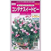 コンテナスイートピー キューピッドミックス 1袋