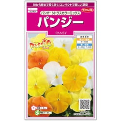パンジー パシオ シトラスカラー ミックス 1袋