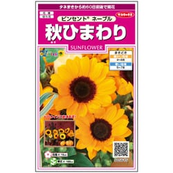 秋ひまわり ビンセント ネーブル 1袋