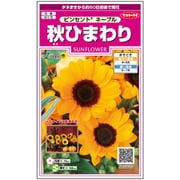 秋ひまわり ビンセント ネーブル 1袋