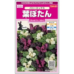 葉ぼたん バニーミックス 1袋