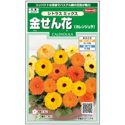 金せん花 シトラスミックス 1袋