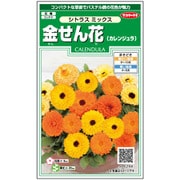 金せん花 シトラスミックス 1袋