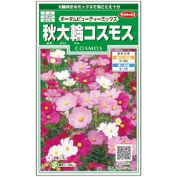 秋大輪コスモス オータムビューティーミックス 1袋