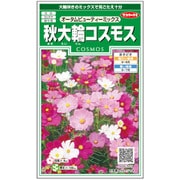 秋大輪コスモス オータムビューティーミックス 1袋