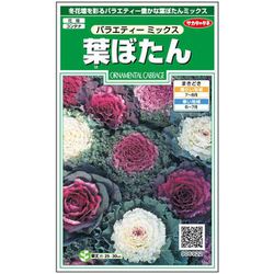 葉ぼたん バラエティーミックス 1袋