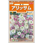 アリッサム 混合 1袋
