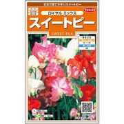 スイートピー ロイヤルミックス 1袋