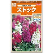 ストック 分枝系混合 1袋