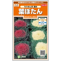 葉ぼたん ちりめん系混合 1袋