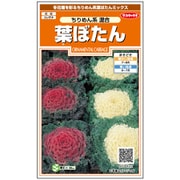 葉ぼたん ちりめん系混合 1袋