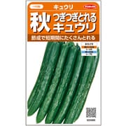 キュウリ つぎつぎとれる秋キュウリ 1袋