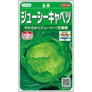 キャベツ ジューシーキャベツ 金春 1袋