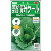 青汁ケール コラード 1袋