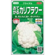 カリフラワー おてがるカリフラワー ブライダル 1袋