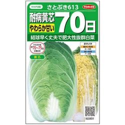 ハクサイ 耐病黄芯 やわらか甘い 70日 さとぶき613 1袋