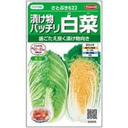 ハクサイ 漬け物バッチリ 白菜 さとぶき622 1袋