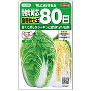 ハクサイ 耐病黄芯 耐寒性 大玉 80日 ちよぶき85 1袋