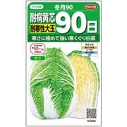 ハクサイ 耐病黄芯 耐寒性 大玉 90日 冬月90 1袋