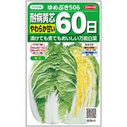 ハクサイ 耐病黄芯 やわらか甘い 60日 ゆめぶき506 1袋