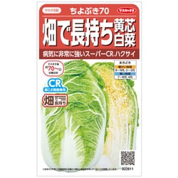 ハクサイ 畑で長持ち 黄芯 白菜 ちよぶき70 1袋