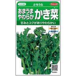 カキナ あまうまやわらか かき菜 さちうら 1袋