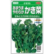 カキナ あまうまやわらか かき菜 さちうら 1袋