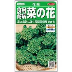 ハナナ 食用耐病菜の花 花娘 1袋