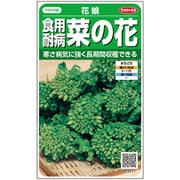 ハナナ 食用耐病菜の花 花娘 1袋