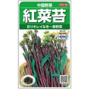 ツケナ 紅菜苔 1袋