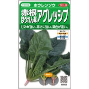 ホウレンソウ 赤根ほうれん草 アグレッシブ 1袋