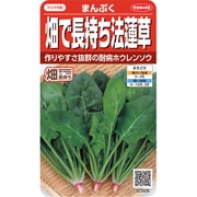 ホウレンソウ 畑で長持ち法蓮草 まんぷく 1袋