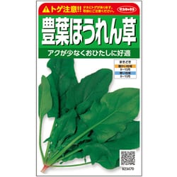 ホウレンソウ 豊葉ほうれん草 1袋
