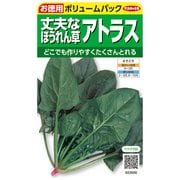 ホウレンソウ 徳用袋 アトラス 1袋