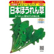 ホウレンソウ 徳用袋 日本ほうれん草 1袋
