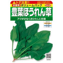 ホウレンソウ 徳用袋 豊葉ほうれん草 1袋